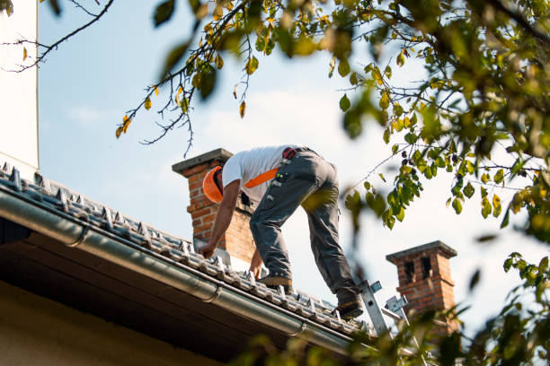 Steel Roofing in Bunker Hill, IL